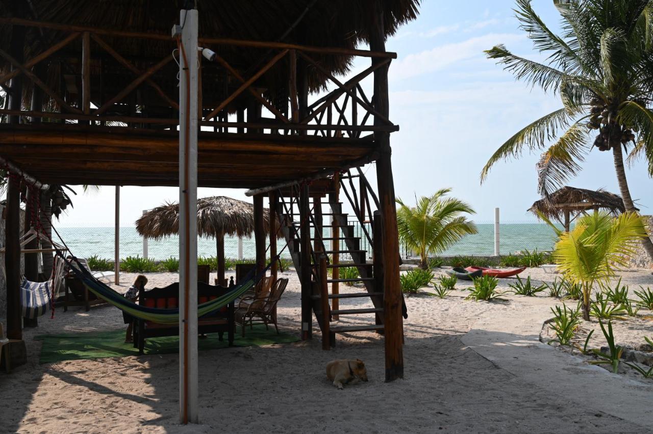 La Casa Del Mexicano Celestun Exterior foto